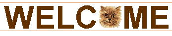 cinnamonwelc